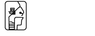 Otorrino Dr. Mario Armando Ruiz 